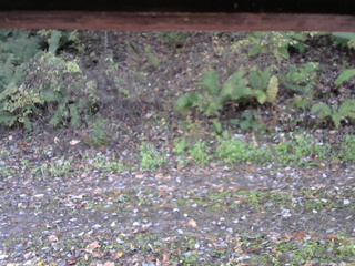 長野県菅平高原 ゆたか山荘 南側 2025/10/24 06:30