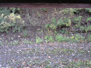 長野県菅平高原 ゆたか山荘 南側 2025/10/24 07:15