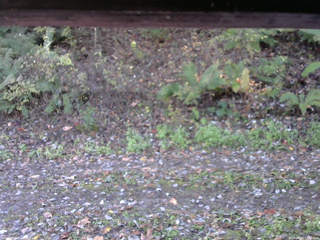 長野県菅平高原 ゆたか山荘 南側 2025/10/24 07:30