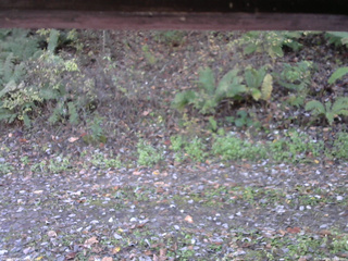 長野県菅平高原 ゆたか山荘 南側 2025/10/24 08:00