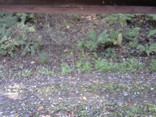 長野県菅平高原 ゆたか山荘 南側 2025/10/24 08:15