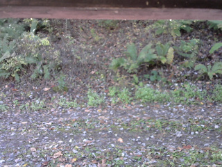 長野県菅平高原 ゆたか山荘 南側 2025/10/24 08:30