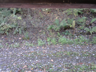 長野県菅平高原 ゆたか山荘 南側 2025/10/24 08:45