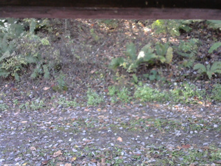 長野県菅平高原 ゆたか山荘 南側 2025/10/24 09:00