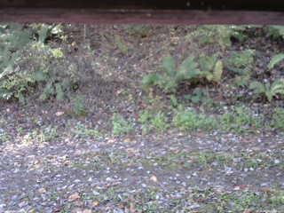 長野県菅平高原 ゆたか山荘 南側 2025/10/24 09:15