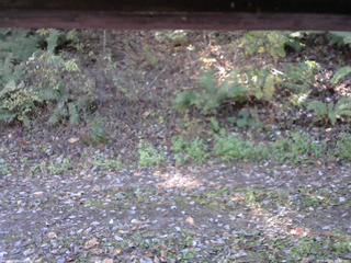 長野県菅平高原 ゆたか山荘 南側 2025/10/24 09:30