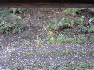 長野県菅平高原 ゆたか山荘 南側 2025/10/24 09:45