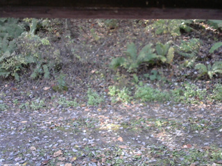 長野県菅平高原 ゆたか山荘 南側 2025/10/24 10:00