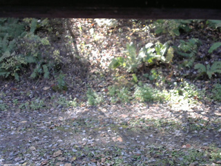 長野県菅平高原 ゆたか山荘 南側 2025/10/24 10:15