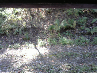 長野県菅平高原 ゆたか山荘 南側 2025/10/24 10:30