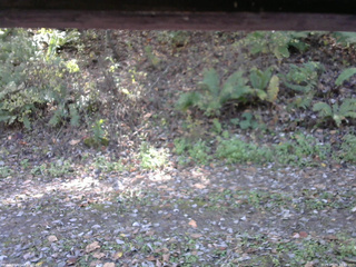 長野県菅平高原 ゆたか山荘 南側 2025/10/24 10:45