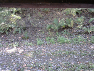 長野県菅平高原 ゆたか山荘 南側 2025/10/24 11:00