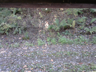 長野県菅平高原 ゆたか山荘 南側 2025/10/24 11:15