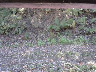 長野県菅平高原 ゆたか山荘 南側 2025/10/24 11:30