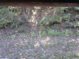 長野県菅平高原 ゆたか山荘 南側 2025/10/24 11:45