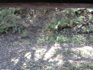 長野県菅平高原 ゆたか山荘 南側 2025/10/24 12:00