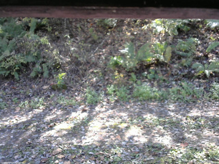 長野県菅平高原 ゆたか山荘 南側 2025/10/24 12:15