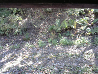 長野県菅平高原 ゆたか山荘 南側 2025/10/24 12:30