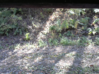 長野県菅平高原 ゆたか山荘 南側 2025/10/24 12:45