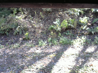 長野県菅平高原 ゆたか山荘 南側 2025/10/24 13:00