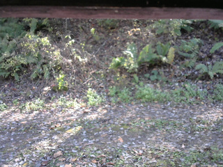 長野県菅平高原 ゆたか山荘 南側 2025/10/24 13:15