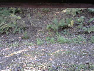 長野県菅平高原 ゆたか山荘 南側 2025/10/24 13:30