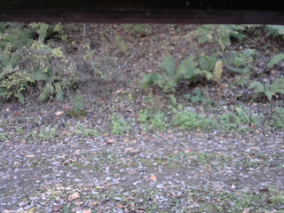 長野県菅平高原 ゆたか山荘 南側 2025/10/24 13:45