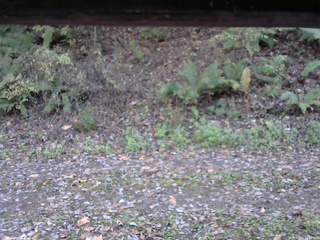 長野県菅平高原 ゆたか山荘 南側 2025/10/24 14:00