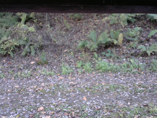 長野県菅平高原 ゆたか山荘 南側 2025/10/24 14:15