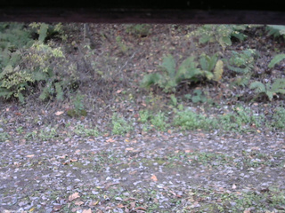 長野県菅平高原 ゆたか山荘 南側 2025/10/24 14:30