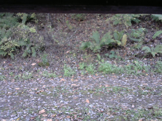 長野県菅平高原 ゆたか山荘 南側 2025/10/24 15:00