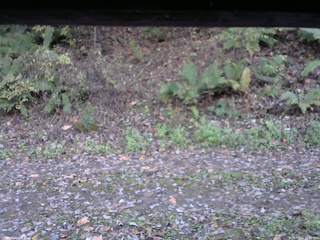 長野県菅平高原 ゆたか山荘 南側 2025/10/24 15:15