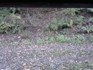 長野県菅平高原 ゆたか山荘 南側 2025/10/24 16:15