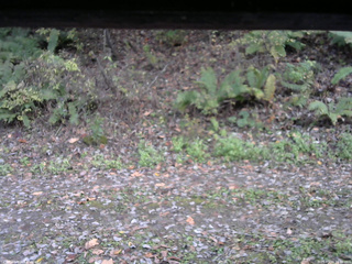 長野県菅平高原 ゆたか山荘 南側 2025/10/24 16:30