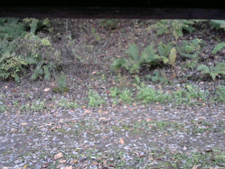 長野県菅平高原 ゆたか山荘 南側 2025/10/24 16:45