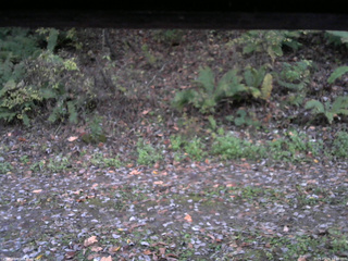 長野県菅平高原 ゆたか山荘 南側 2025/10/24 17:00