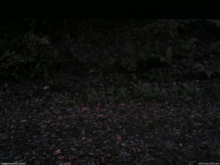 長野県菅平高原 ゆたか山荘 南側 2025/10/24 17:15