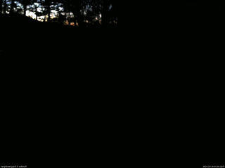 長野県菅平高原 ゆたか山荘 東側(坂下) 2025/10/24 05:30