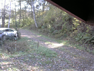 長野県菅平高原 ゆたか山荘 東側(坂下) 2025/10/24 11:45