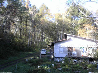 長野県菅平高原 ゆたか山荘 西側(坂上) 2025/10/24 08:45