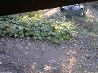 長野県菅平高原 ゆたか山荘 駐車場 2025/10/24 06:30