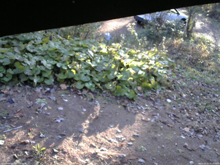 長野県菅平高原 ゆたか山荘 駐車場 2025/10/24 06:45