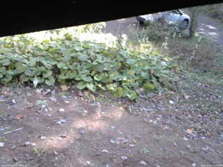長野県菅平高原 ゆたか山荘 駐車場 2025/10/24 09:00