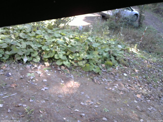 長野県菅平高原 ゆたか山荘 駐車場 2025/10/24 09:30