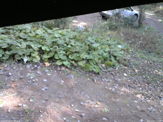 長野県菅平高原 ゆたか山荘 駐車場 2025/10/24 10:45