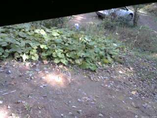 長野県菅平高原 ゆたか山荘 駐車場 2025/10/24 11:00