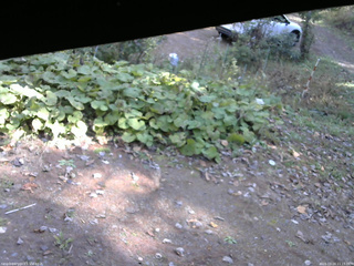 長野県菅平高原 ゆたか山荘 駐車場 2025/10/24 11:15