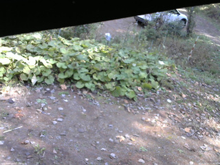 長野県菅平高原 ゆたか山荘 駐車場 2025/10/24 11:30
