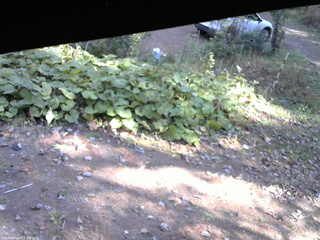 長野県菅平高原 ゆたか山荘 駐車場 2025/10/24 12:00