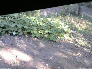 長野県菅平高原 ゆたか山荘 駐車場 2025/10/24 12:45
